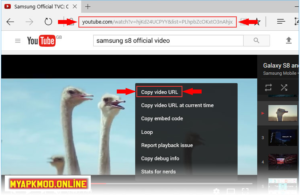YouTube Free Download Full Latest Version & For Android 2025