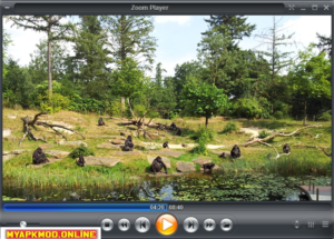 Download  Zoom Player Free v17.2.0 For Windows 7 32 Bit