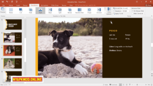 Microsoft Office 2024 Pro Free Download For 64 Bits ISO