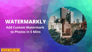 Visual Watermark V5.38 Free Download For PC 2025