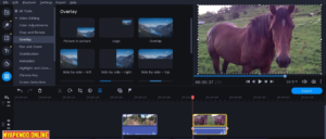 Download Movavi Video Suite 25.2.0 Free For Windows 11 2025
