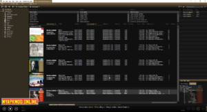 MediaMonkey Gold 1.0.310 Free Download Lifetime License Key