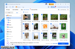 Download Easeus Partition Master Full Crack Free v18.2 2025