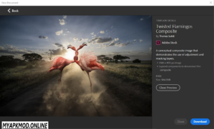 Download Photoshop Portable Latest v13.1 2025